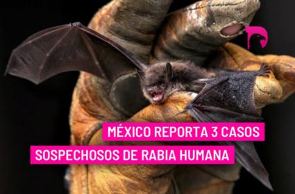  México reporta 3 casos sospechosos de rabia humana