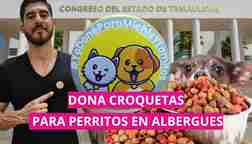  Recolectan croquetas para ayudar refugio de perritos