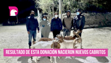  Agradecen ejidatarios la donación de cabras que les hizo Brisa