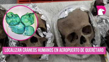  Localizan cráneos humanos en Aeropuerto de Querétaro