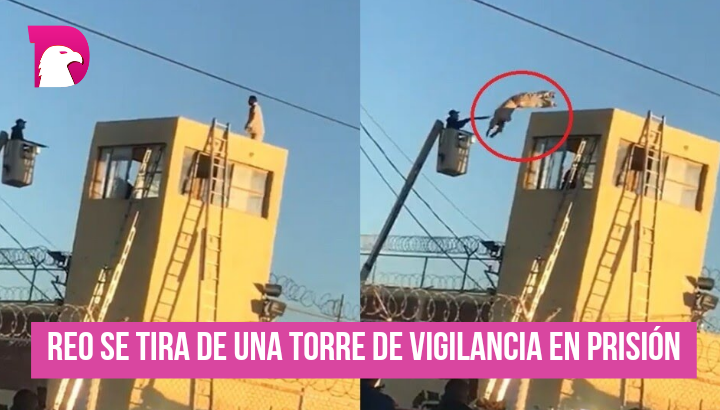  Video: Reo se tira de una torre de vigilancia en prisión
