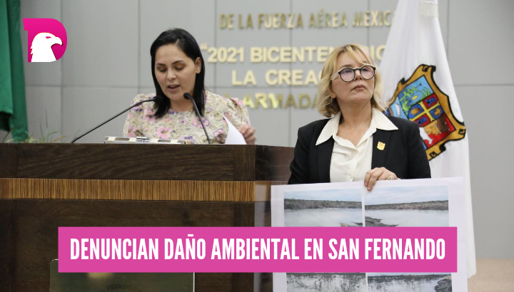  Denuncian daño ambiental en San Fernando