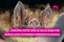  Confirma Secretaría de Salud rabia por murciélagos en menores mordidos en Oaxaca