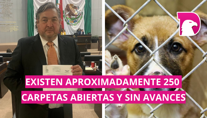  Exige Gustavo Cárdenas creación de Fiscalía Especializada en Maltrato Animal