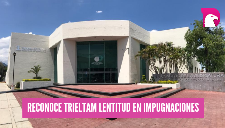  Reconoce Trieltam lentitud en impugnaciones