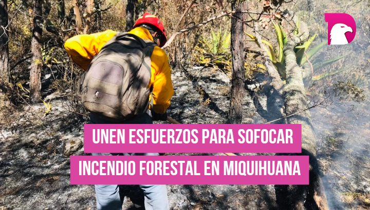  Unen esfuerzos para sofocar incendio forestal en Miquihuana