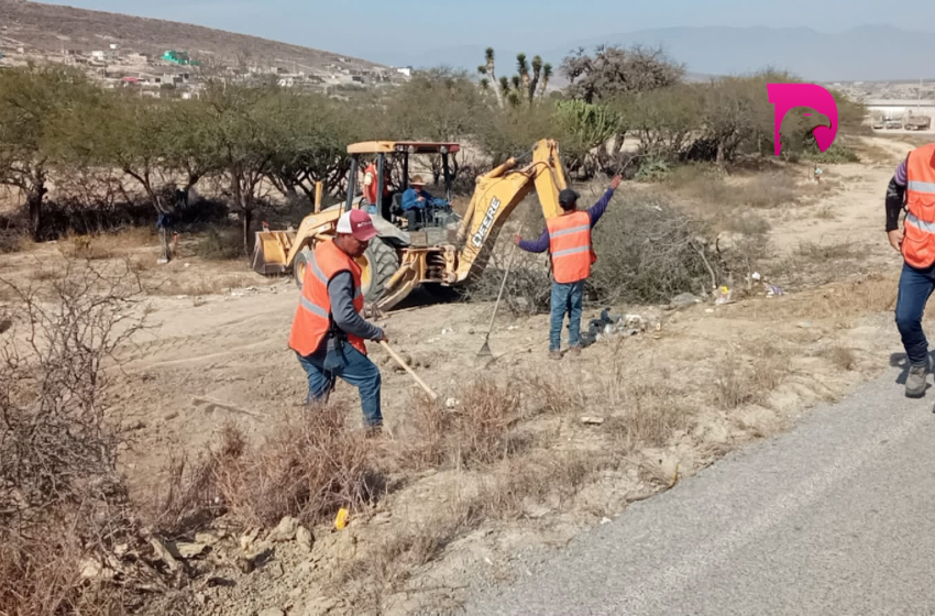  Ordena Antonio Leija Villarreal limpieza de maleza a bordo de carreteras