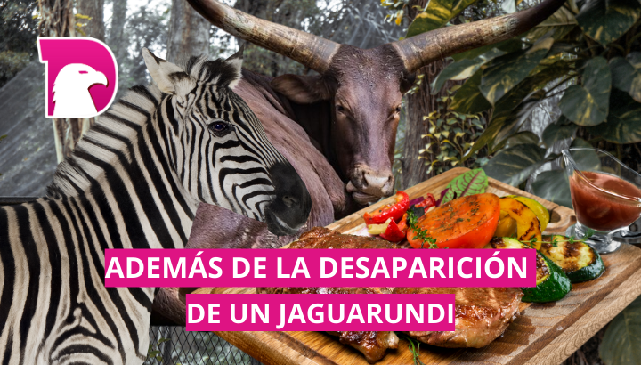  Empleados del Zoológico de Chilpancingo cocinan y se comen a animales