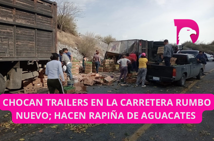  Chocan tráilers en la carretera RumboNuevo; hacen rapiña de aguacates