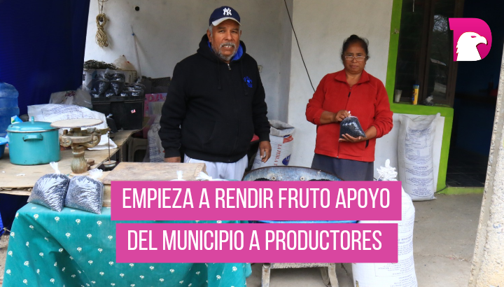  Empieza a rendir fruto apoyo del Municipio a productores.