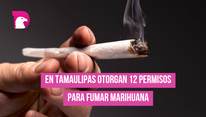  En Tamaulipas, otorgan 12 permisos para fumar marihuana