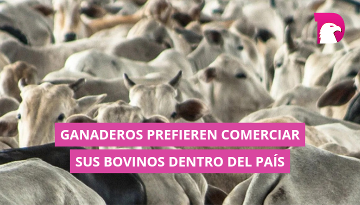  Exportación de ganado ya no es negocio en Tamaulipas