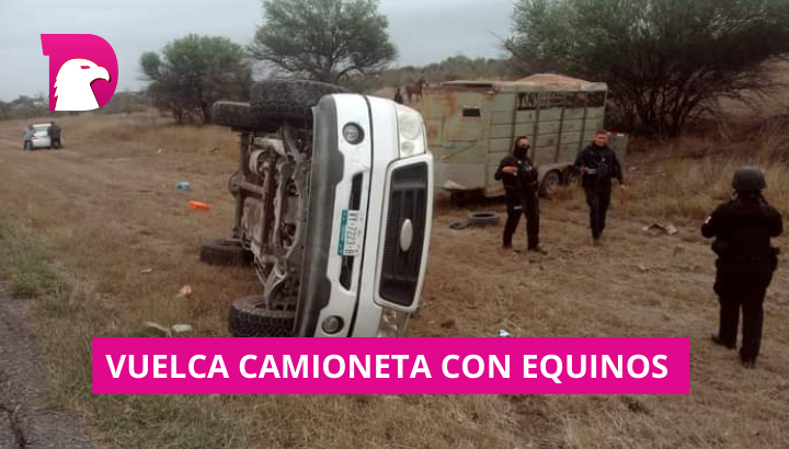  Vuelca vehículo que transportaba caballos