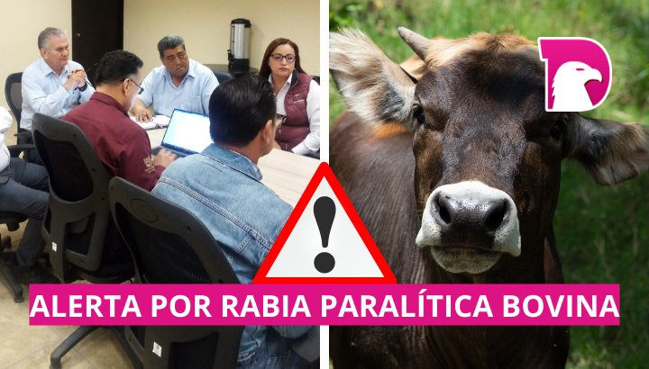  Alerta epidemiológica en Tula por caso de rabia paralítica bovina