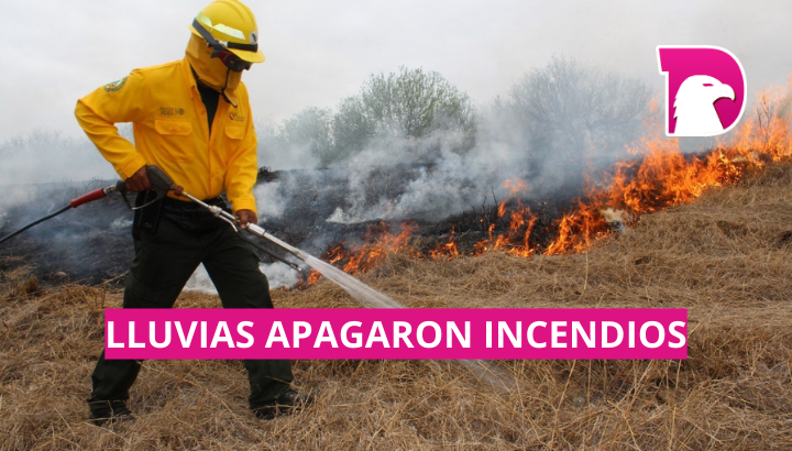  Lluvias apagaron incendios: Conafor