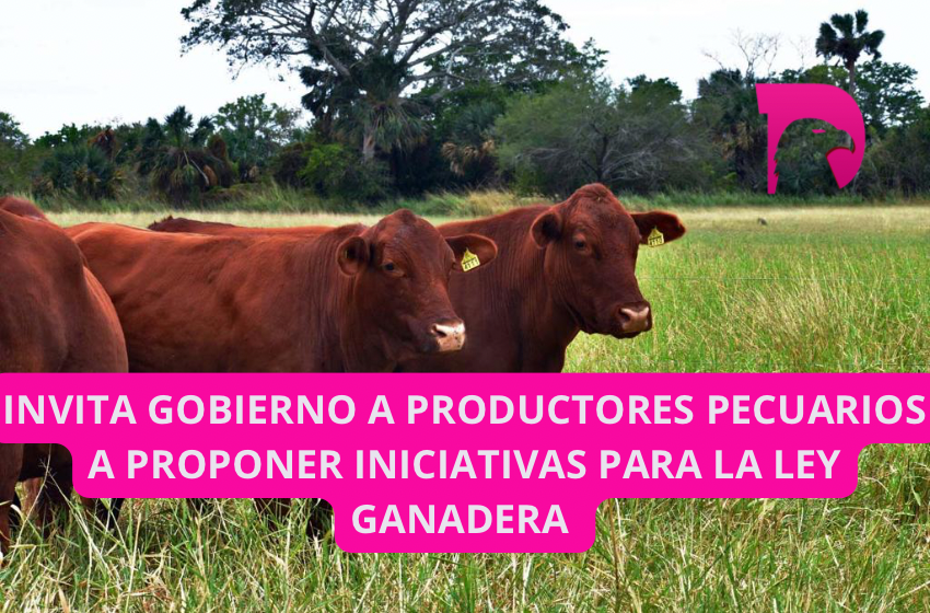  Invita gobierno a productores pecuarios a proponer iniciativas para la Ley Ganadera