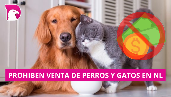  En Nuevo León prohíben venta de mascotas