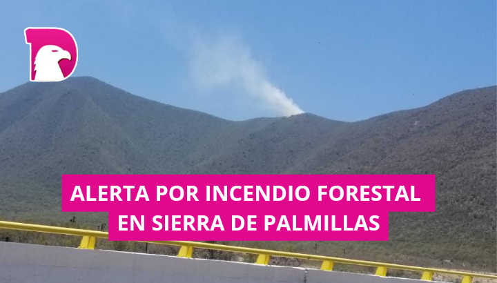  Alerta por incendio forestal en la sierra de Palmillas
