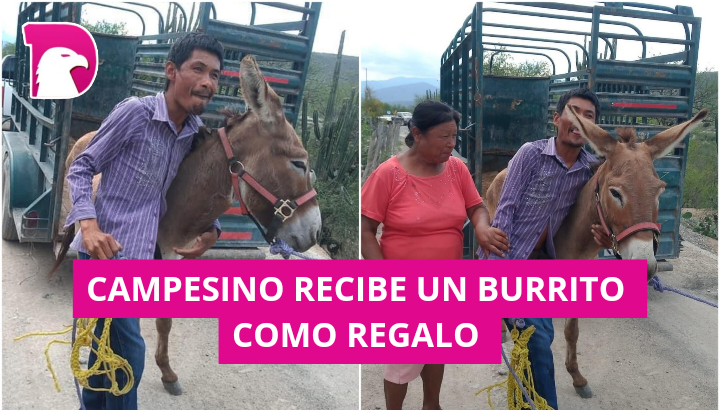  Alcalde de Jaumave obsequia burrito a joven con discapacidad.