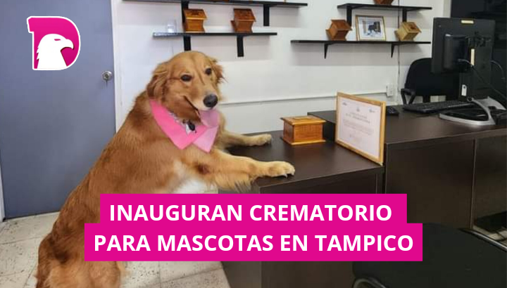 Abren en Tampico primer crematorio municipal para mascotas.