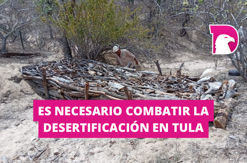  Es necesario combatir la desertificación en Tula