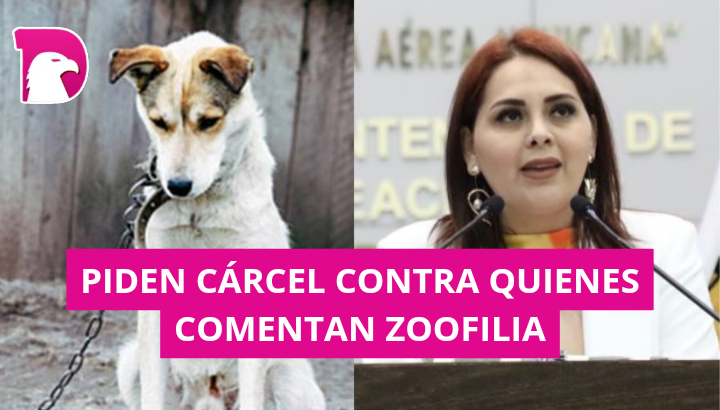 Casandra de los Santos busca agregar la zoofilia al Código Penal