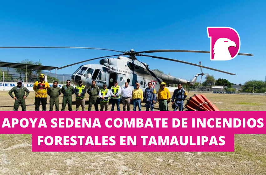  Apoya SEDENA combate de incendios forestales en Tamaulipas