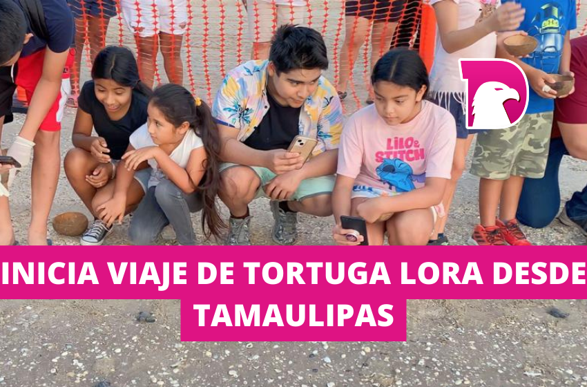  Inicia viaje tortuga lora desde Tamaulipas