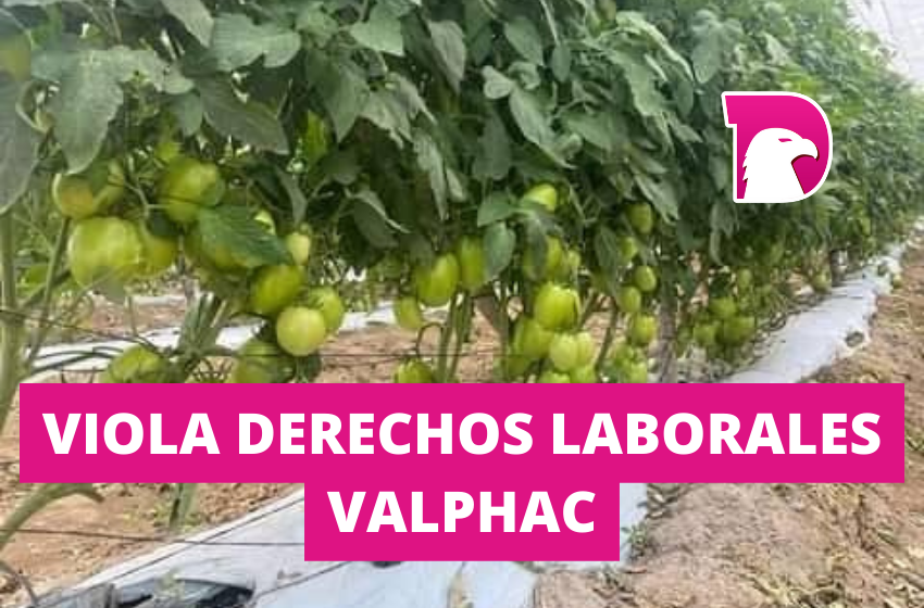  Viola derechos laborales VALPHAC