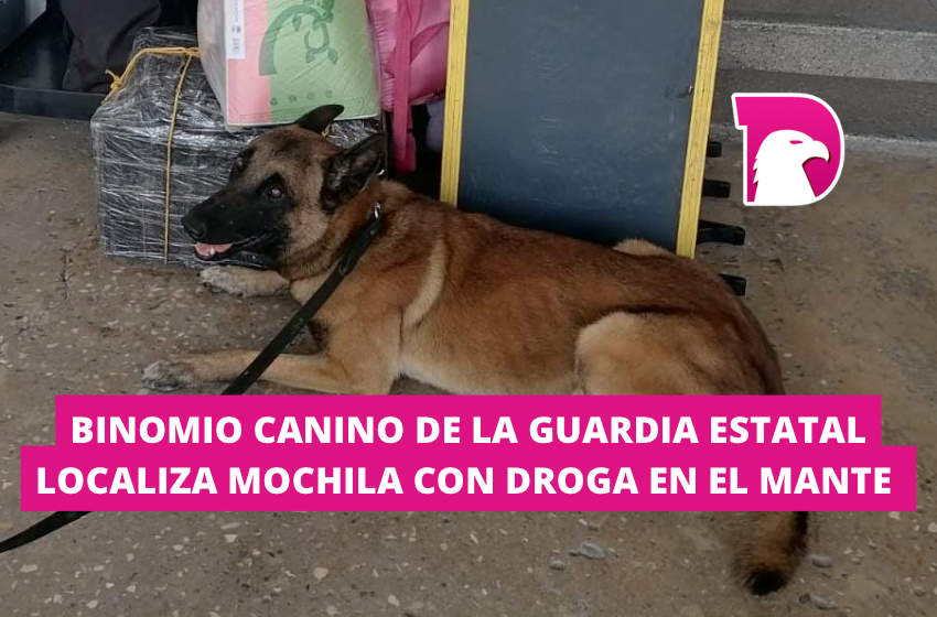  Binomio canino de la Guardia Estatal localiza mochila con droga en El Mante