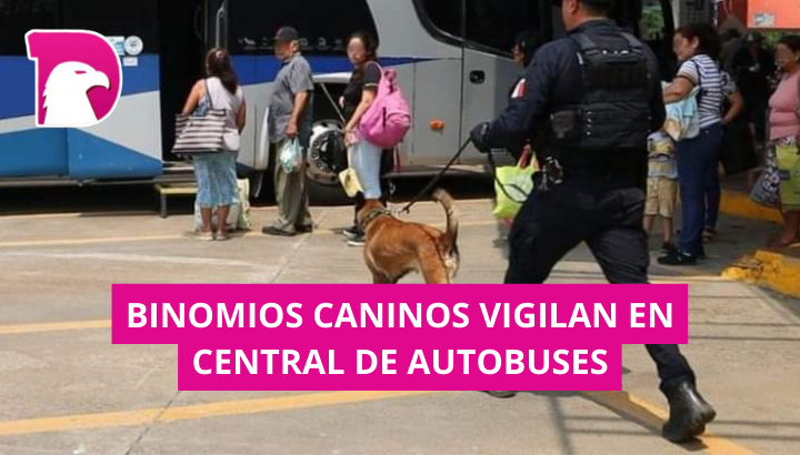  Binomios Caninos de la Guardia Estatal vigilan en Central de Autobuses