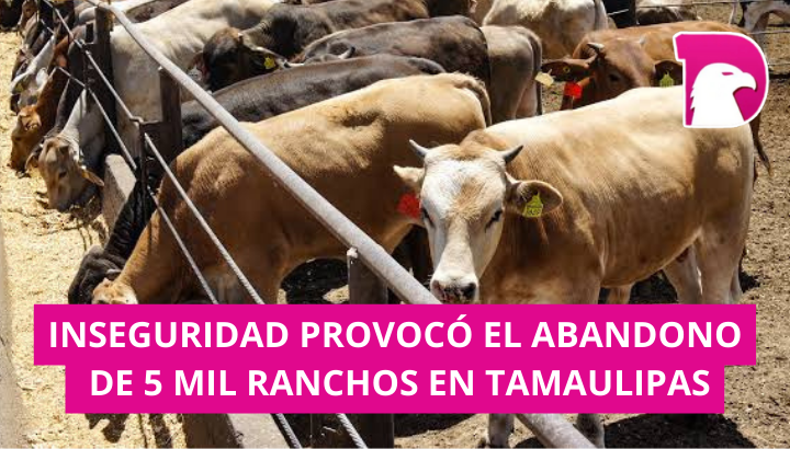  Inseguridad provocó abandono de 5 mil ranchos en Tamaulipas