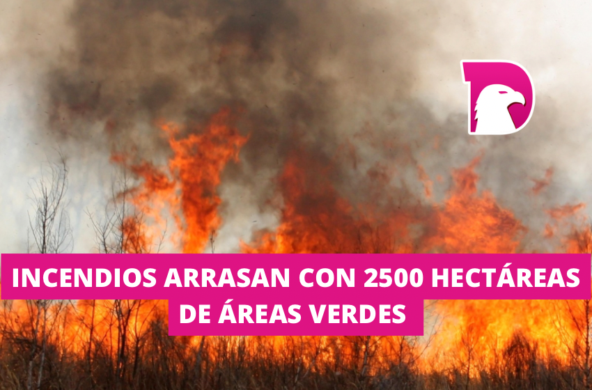  Incendios arrasan con 2 mil 500 hectáreas de áreas verdes