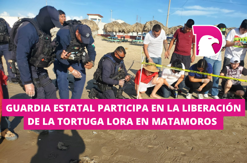 Guardia Estatal participa en liberación de la tortuga lora en Matamoros