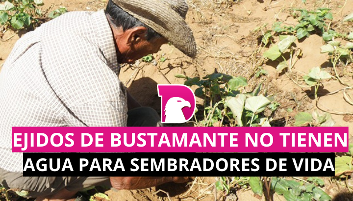  Ejidos de Bustamante no tiene agua para sembradores de vida.