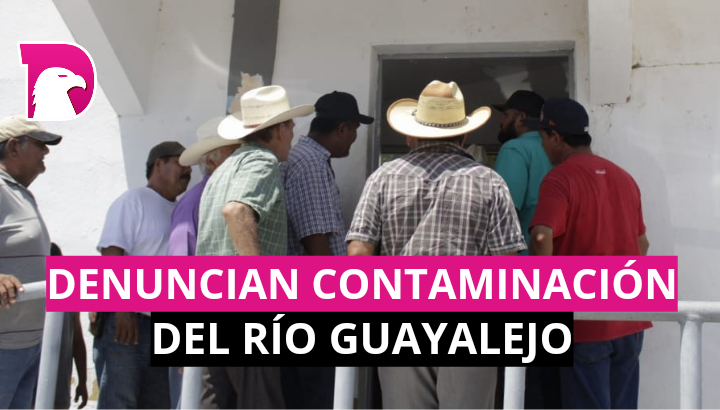  Contaminación en Río Guayalejo ‘mata’ producción de citricultores