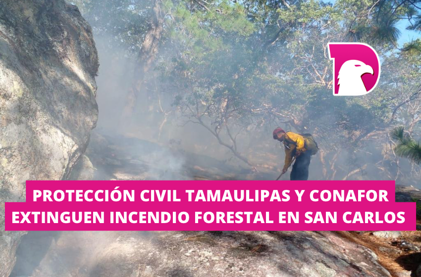  Protección Civil Tamaulipas y CONAFOR extinguen incendio forestal en San Carlos