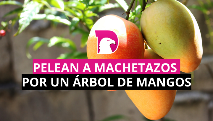  Pelean a machetazos por un árbol de mangos