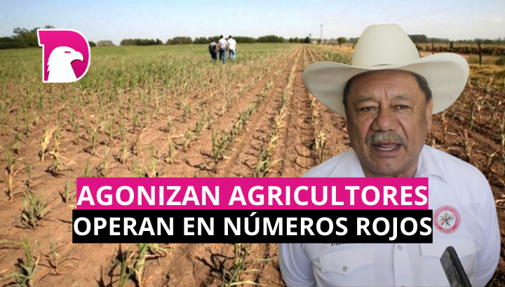  Agonizan agricultores; operan en números rojos