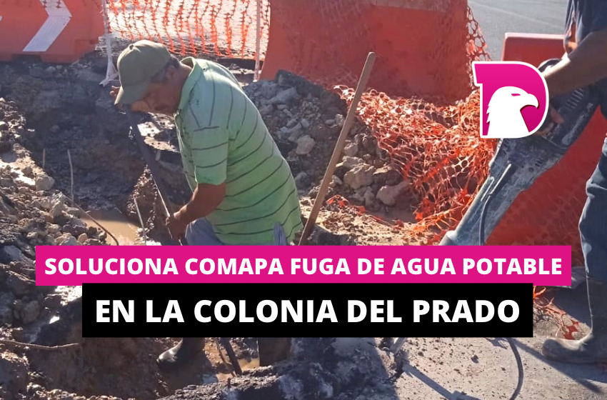  Soluciona COMAPA fuga de agua potable en la colonia Del Prado
