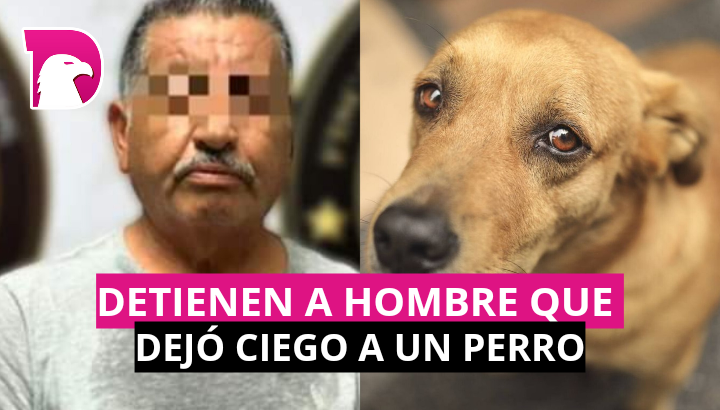  Detienen a hombre que dejó ciego a un perro