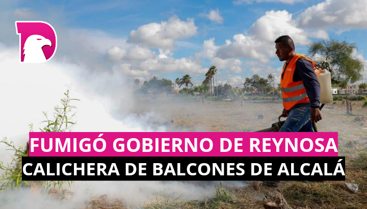  Fumigó el Gobierno de Reynosa calichera de Balcones de Alcalá