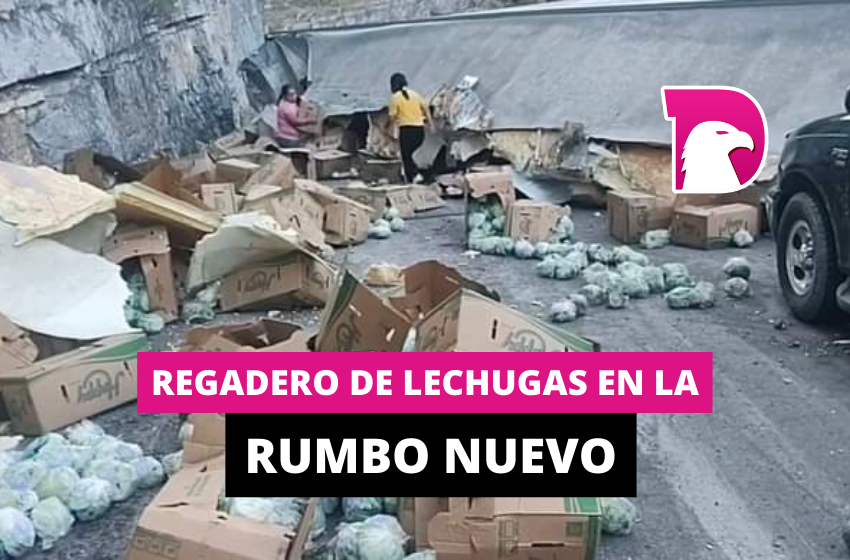  Regadero de lechugas en la rumbo nuevo