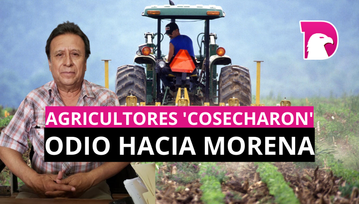  En Tamaulipas, agricultores ‘cosecharon’ odio hacia Morena