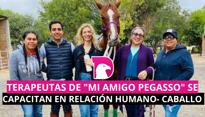  Terapeutas de “Mi Amigo Pegaso” se capacitan en relación caballo-humano