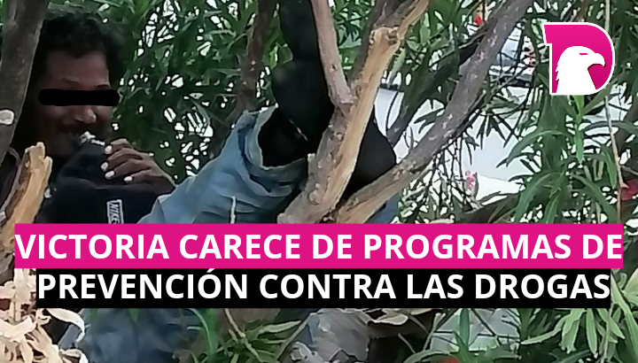  Victoria carece de programas de prevención contra las drogas