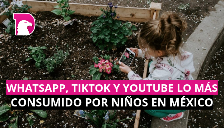  Whatsapp, TikTok y Youtube, lo más consumido por niños en México
