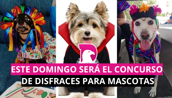  Este domingo será el concurso de disfraces para mascotas