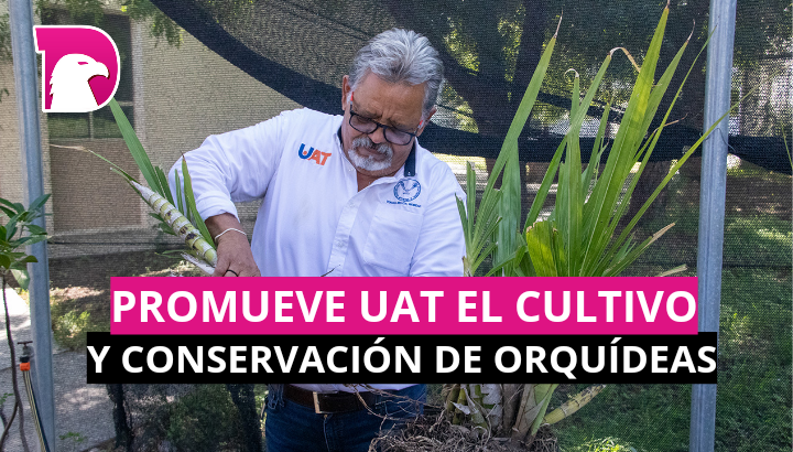  Promueve UAT el cultivo y conservación de orquídeas