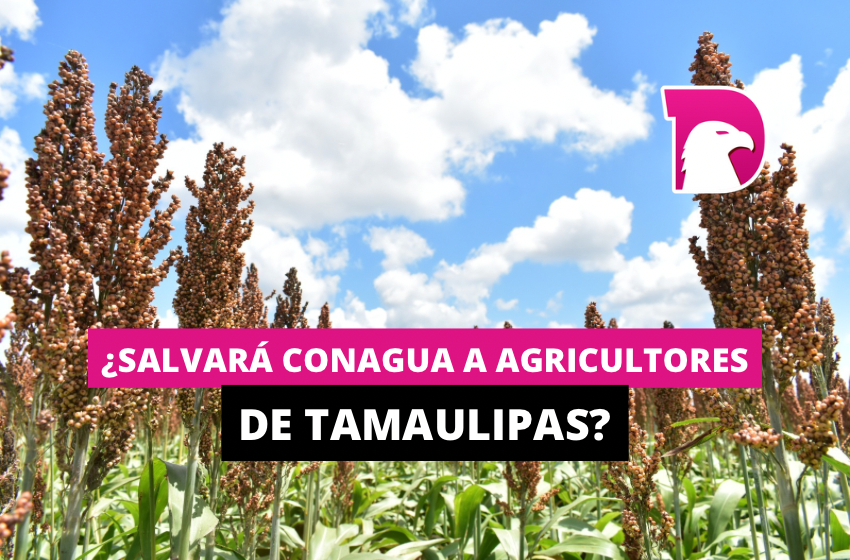  ¿Salvará Conagua a agricultores de Tamaulipas?